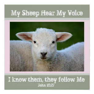 Poster Mon Mouton Entend Ma Voix, La Bible Verse Jean 10: