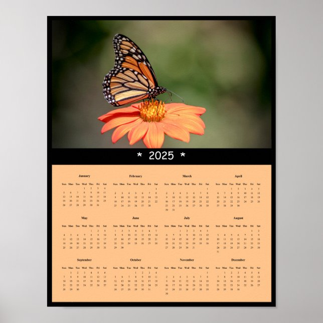 Poster Monarch Butterfly Wall Calendar 2025 (Devant)