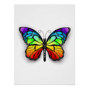 Poster Monarque papillon arc-en-ciel