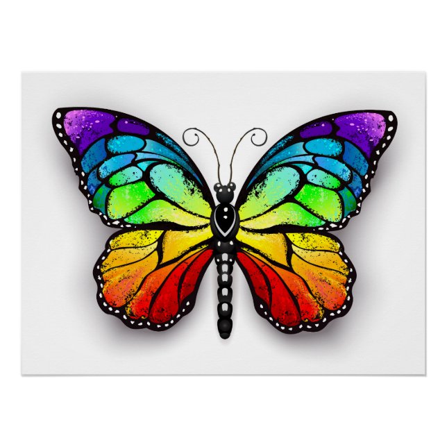 Poster Monarque papillon arc-en-ciel (Devant)