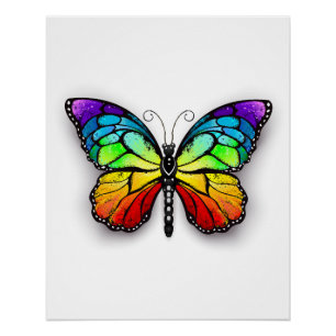 Poster Monarque papillon arc-en-ciel