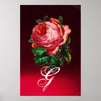 MONOGRAMME DE ROSE ROSE PÂLE BELLE