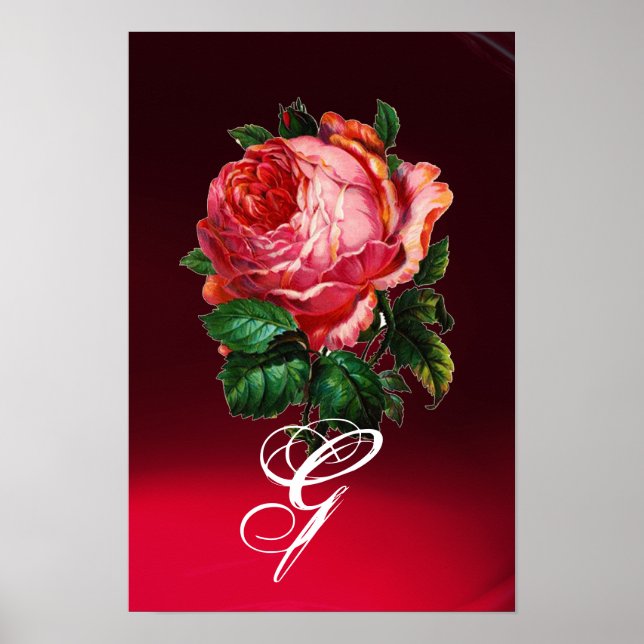 POSTER MONOGRAMME DE ROSE ROSE PÂLE BELLE (Devant)