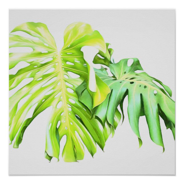 Poster Monstera étude de la feuille artistique (Devant)