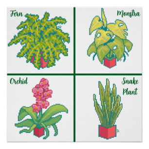 Poster Monstera, Fern, Orchid, plante snake. Pixel Art
