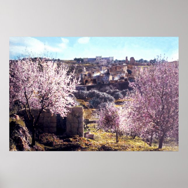 Poster Mont vintage Des Oliviers Jérusalem Israël 1950 -  (Devant)