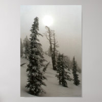 Montagne neigeuse et arbres