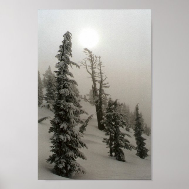 Poster Montagne neigeuse et arbres (Devant)