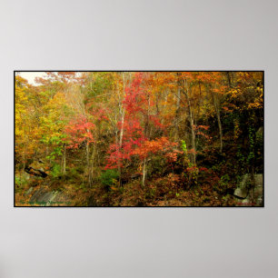 Poster Montagnes fumeuses Tennessee en automne