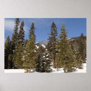 Poster Montana Mountain Trails in Winter Landcape Photo
