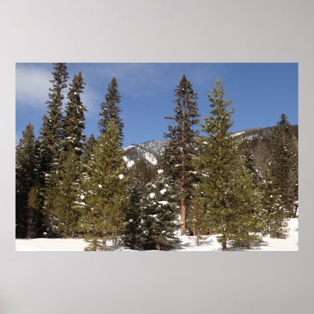 Poster Montana Mountain Trails in Winter Landcape Photo (Devant)