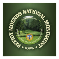 Montants d'efficacité (NM)