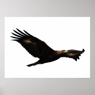 Poster Montée d'Eagle d'or