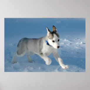 Poster Montez dans la neige