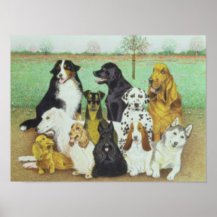 Poster Montre de chien