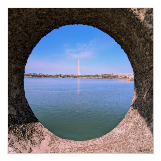 Poster Monument de Washington pendant les fleurs de ceris (Devant)