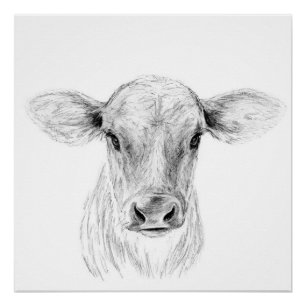 Poster Moo A Young Jersey Cow