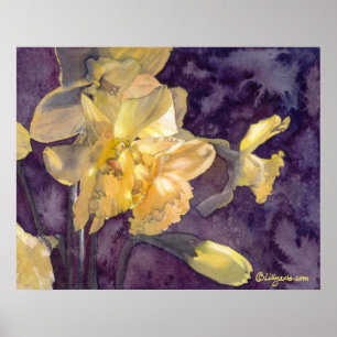 Poster Moonlight Daffodiques Aquarelle Imprimer