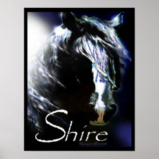 Poster MOONLIGHT SHIRE