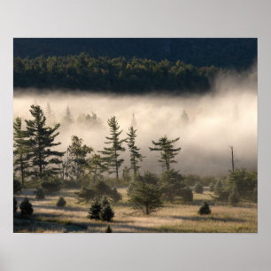 Poster Morning Fog in the Adirondacks
