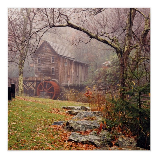 Poster Morning Mist (Devant)