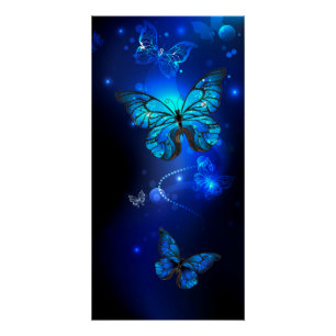 Poster Morpho Butterfly in the Dark Background