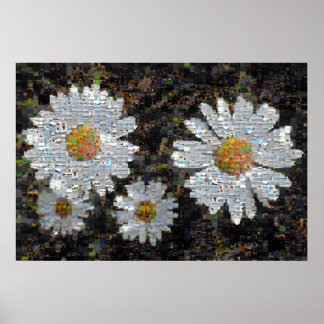 Poster Mosaic Daisies 10