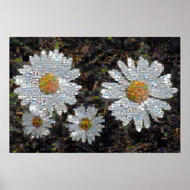 Poster Mosaic Daisies 10 (Devant)