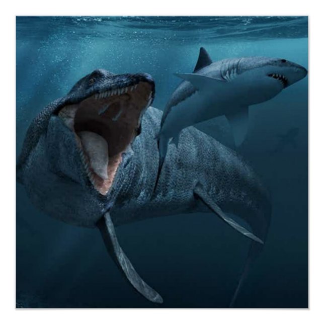 Poster Mosasaurus pourchasse l'affiche de requin (Devant)