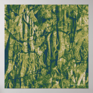 Poster Motif de camouflage d'écorce d'arbre