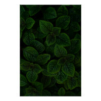 Motif de feuilles texturées vert émeraude foncé