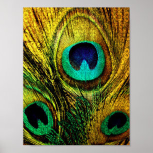 Poster Motif de plume Peacock Or