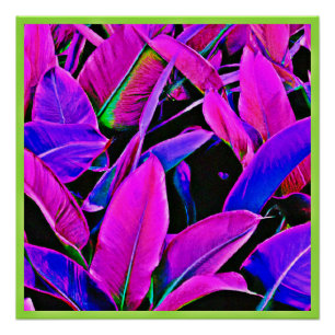 Poster Motif d'élégance de feuillage radiant