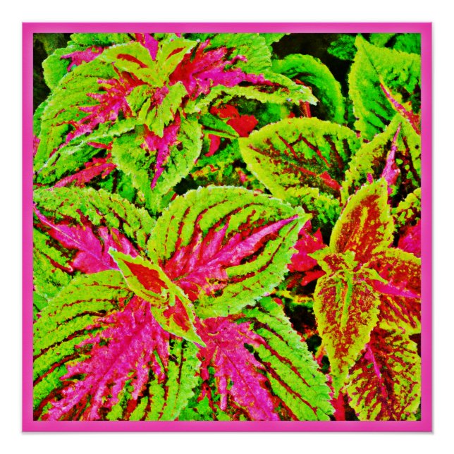Poster Motif Feuille de la nature vibre (Devant)
