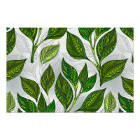 Motif sans couture avec Feuilles de thé vert