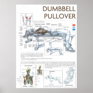 Poster Motivation de l'entraînement