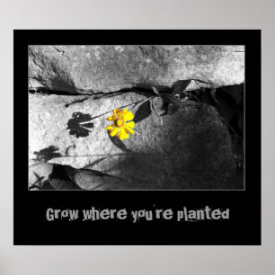 Poster Motivational "Growth"