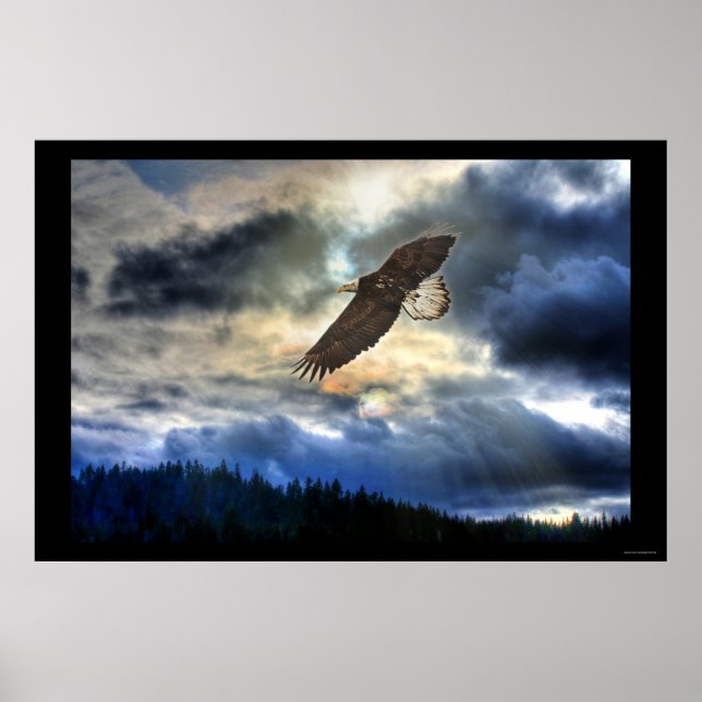Poster motivationnel Cariboo Bald Eagle & Sunset (Devant)