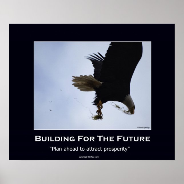 Poster Motivationnel de l'aigle chauve (Devant)