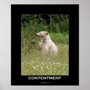 Poster Motivationnel de l'Ours Esprit