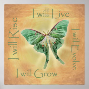 Poster Motivationnel Luna Moth Imprimer