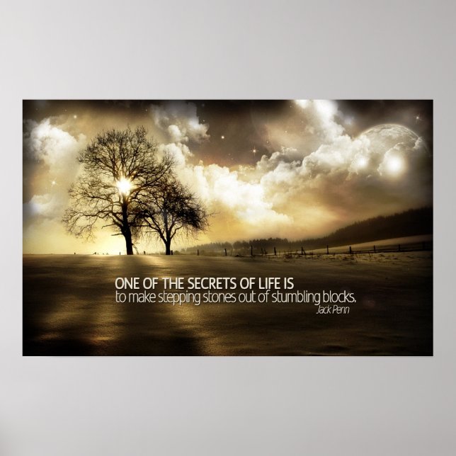 Poster Motivationnel Secrets of Life Imprimer (Devant)