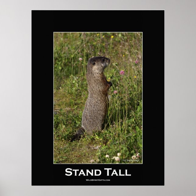 Poster Motivationnel Stand Tall (Devant)
