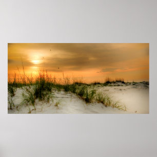 Poster Mouettes au lever du soleil