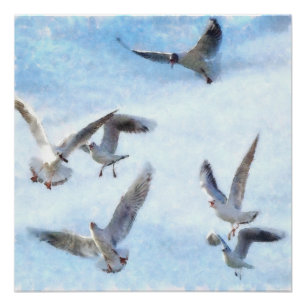Poster Mouettes en aquarelle de vol