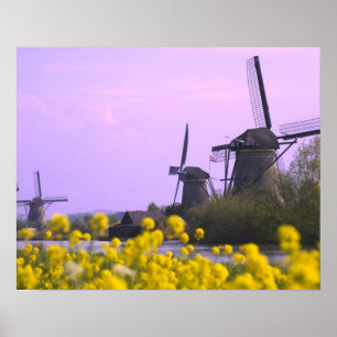 Poster Moulins à vent le long du canal à Kinderdijk,