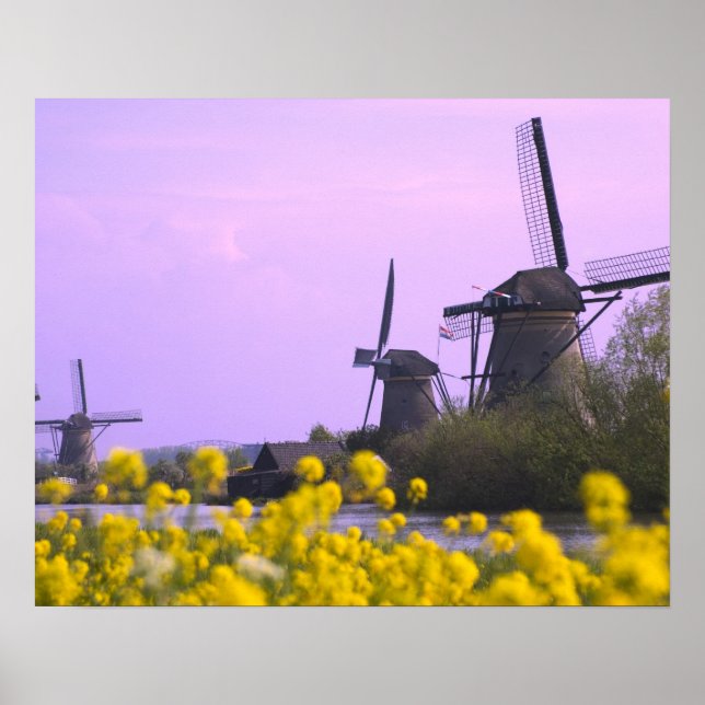 Poster Moulins à vent le long du canal à Kinderdijk, (Devant)