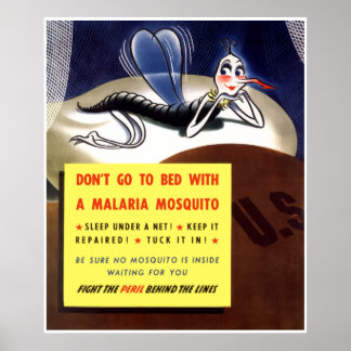 Poster Moustique du paludisme — frontière