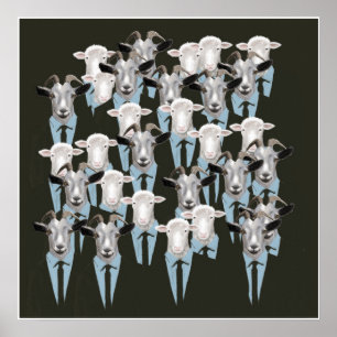 Poster Moutons et chèvres