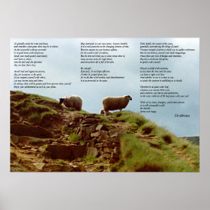 Poster Moutons placidement dans le silence sur des
